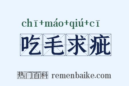 吃毛求疵是什么意思的图片